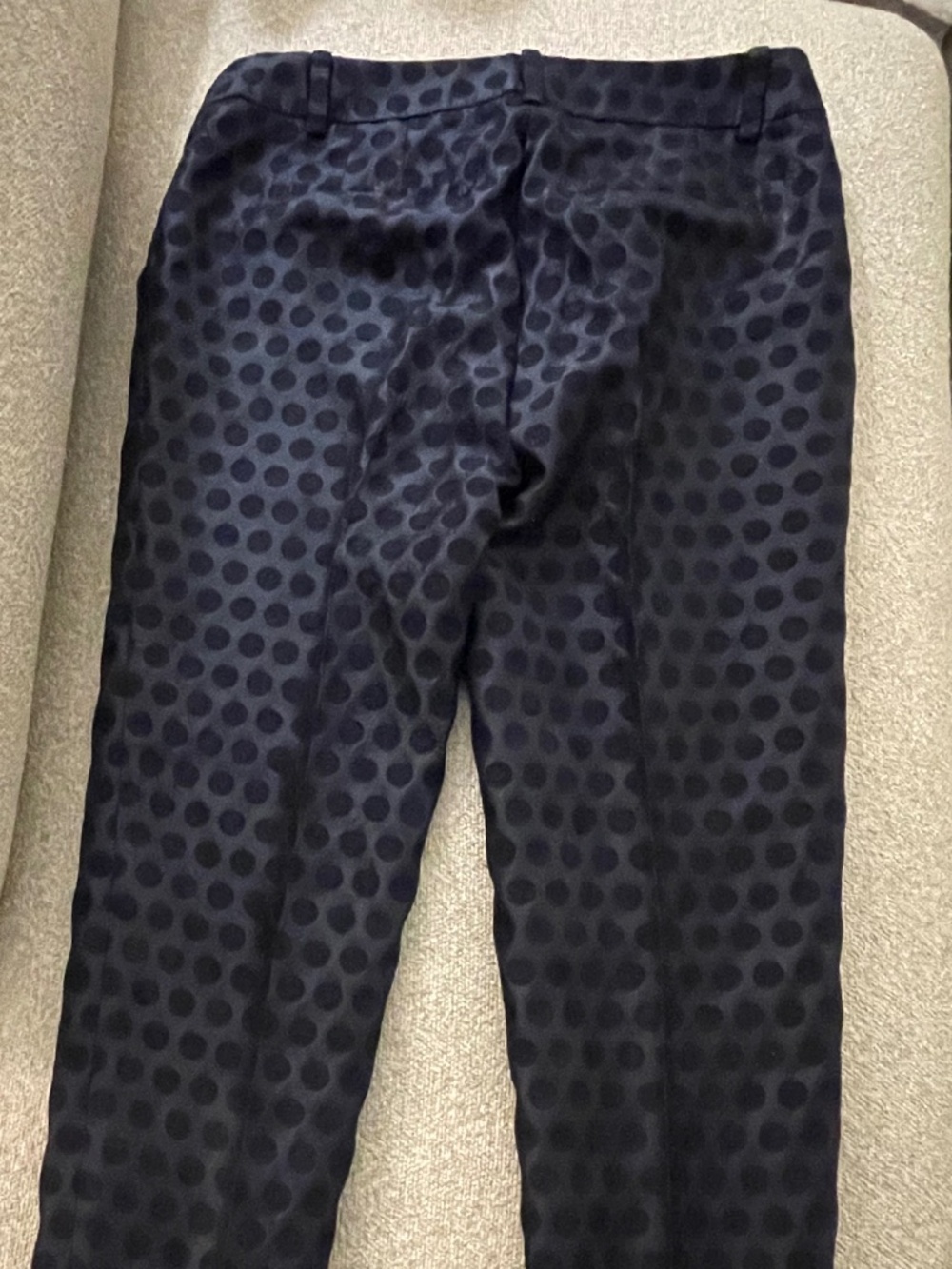 Navy J-Crew Polka Dot Pants